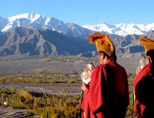 New partnership deal with Passpartout